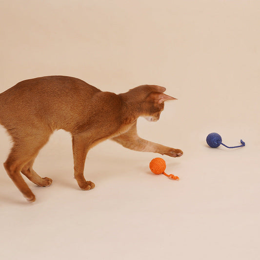 KFX-0014013 Interactive Cat Teaser Stick with Bite-Resistant Catnip Ball for Playful Kittens