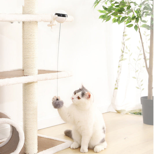 KFX-0023101 Automatic Electric Cat Ball Toy with Interactive Lifting Function and Replaceable Toys
