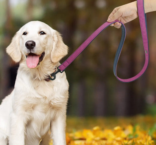 KFX-0043325 Pull-Resistant Leather Dog Leash - Available in Multiple Colors and Sizes
