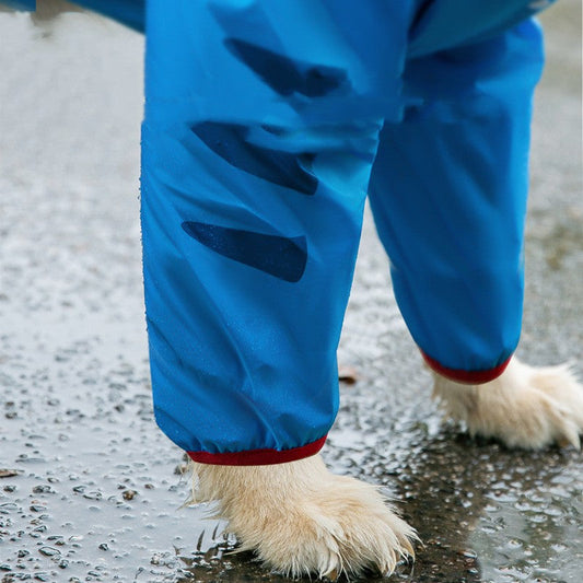 KFX-0044093 All-Weather Waterproof Rain Gear with Shark Design for Pets - Multiple Sizes Available