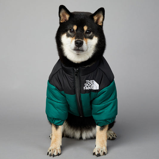 KFX-0048957 Windproof and Rainproof Winter Pet Cotton-Padded Jacket for Dogs in Various Colors and Sizes