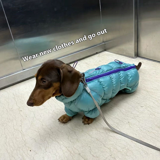 KFX-0060605 Thermal Cotton-Padded Pet Clothing for Autumn and Winter – Sizes S to XXL
