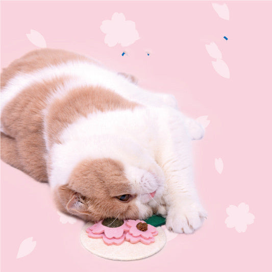 KFX-0069181 Sakura Fruit Cat Teething Stick Toy for Kittens - Natural Loofah & Catnip