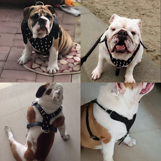 KFX-0069821 Punk Style Rivet Chest Strap for Large Dogs – Adjustable Leather Harness in Multiple Colors