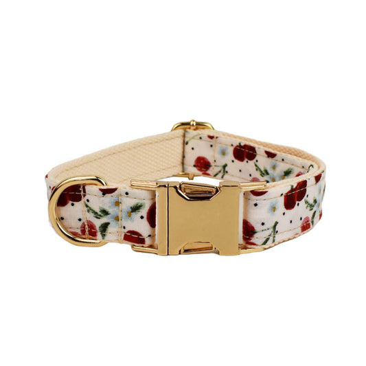 KFX-0116285 Red Cherry Pet Collar and Leash Set with Cute Bow and Gold Release Buckle, Five-Piece Accessory Kit