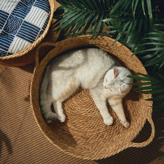 KFX-0120765 Cattail Cat Litter Mat with Rattan Frame and Sleeping Pad - Fashionable Weaving Design