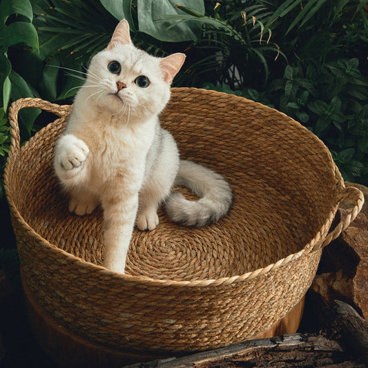 KFX-0120765 Cattail Cat Litter Mat with Rattan Frame and Sleeping Pad - Fashionable Weaving Design