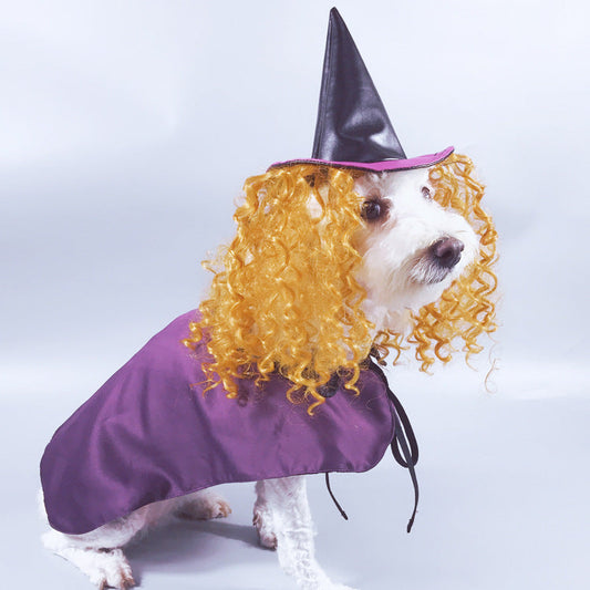 KFX-0132669 Purple Cloak and Hat Pet Costume for Dogs - Halloween Witch Outfit