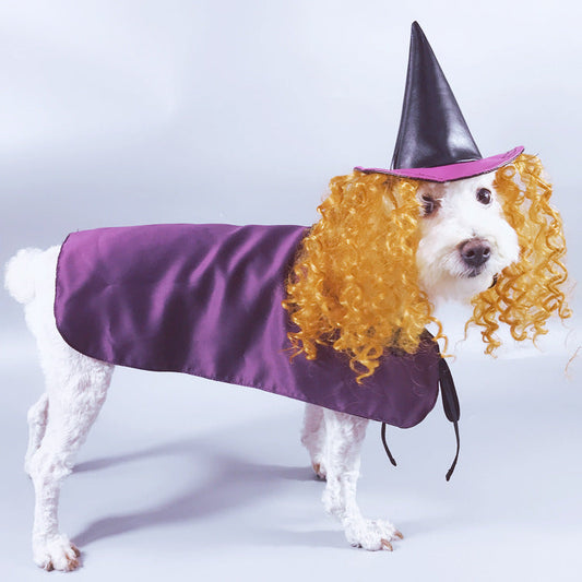 KFX-0132669 Purple Cloak and Hat Pet Costume for Dogs - Halloween Witch Outfit