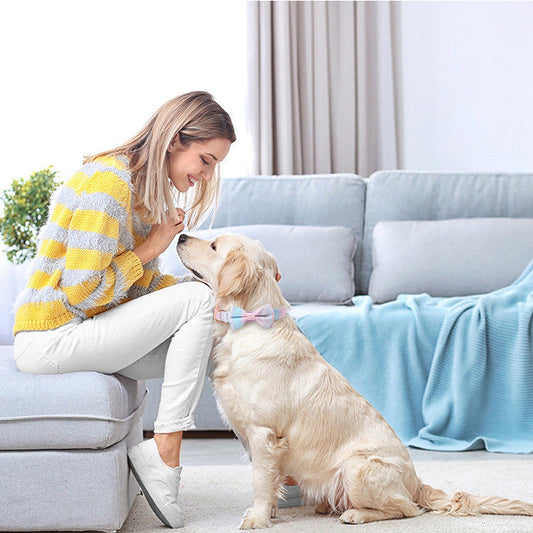 KFX-0134077 Stylish Bow Collar Set for Pets in Sweet Pink, Blue, and More