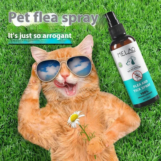 KFX-0137661 Effective Flea Spray for Dogs - 100ml Plastic Bottle