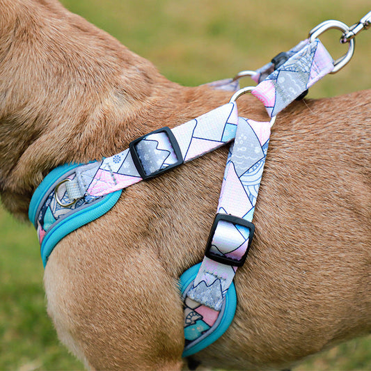 KFX-0141629 Reflective Anti-Breakaway Leash for Small and Medium Dogs - Durable Polyester with Chest Strap Options