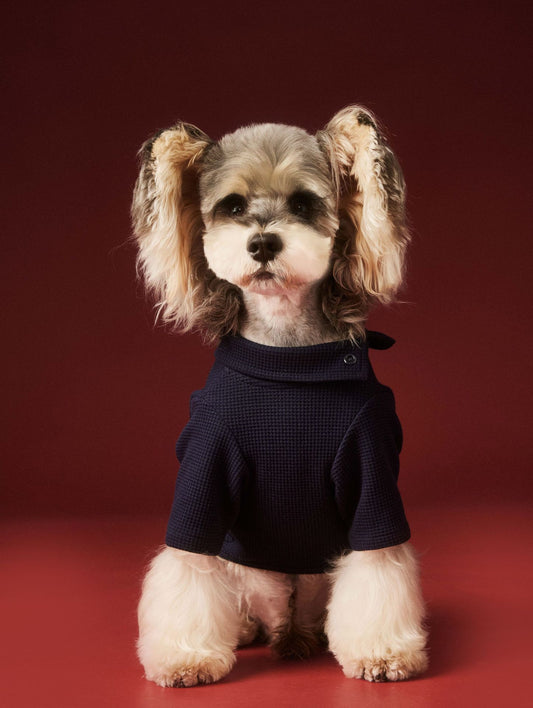 KFX-0152125 Cozy Waffle Four-Legged Pet Clothing for Autumn and Winter in Beige and Navy Blue