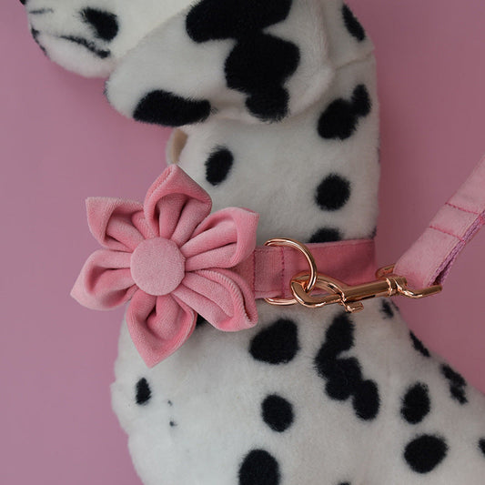 KFX-0170685 Luxurious Velvet Dog Collar with Double Microfiber Rose Gold Buckle – Available in Multiple Sizes and Options