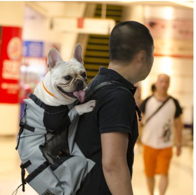 KFX-0176829 Ventilated and Comfortable Pet Travel Backpack with Safety Buckle and Breathable Mesh Strap