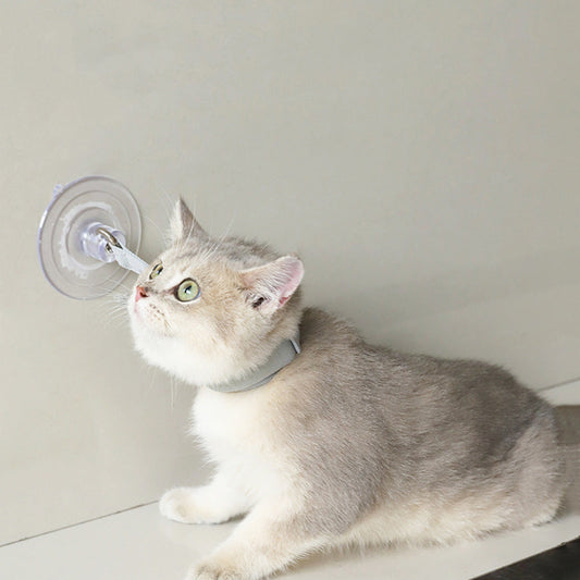 KFX-0182973 Portable Pet Bathing Collar with Suction Cup for Cats and Puppies