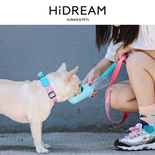 KFX-0209341 Explosion-proof Pet Traction Neckband - Durable Nylon Collar in Sunrise, Bobby, Hill Mark, Florida Colors