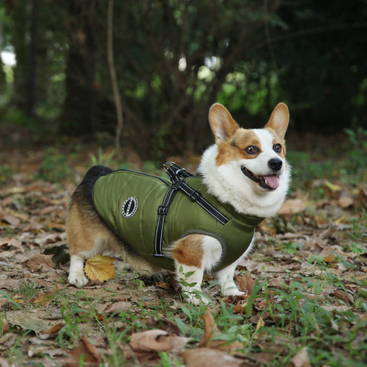 KFX-0227005 Multicolor Casual Pet Clothing for Warmth - XS to 2XL Sizes Available