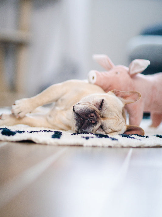 KFX-0239805 Pink Plush Pig Sleeping Companion Toy for Dogs