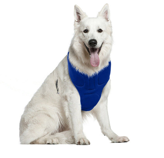 KFX-0247869 Cooling Collar for Pet Heat Relief – Adjustable 34-40 cm Neck Size, Thin Design for Comfort
