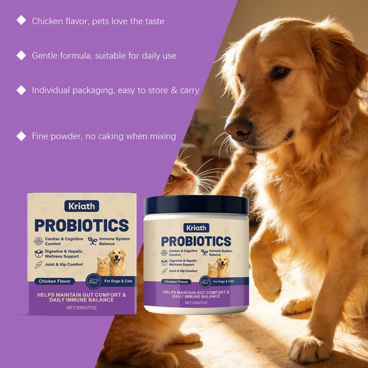 KFX-0257469 Probiotic Powder for Pet Digestive Health with Chicken and Prebiotic Ingredients