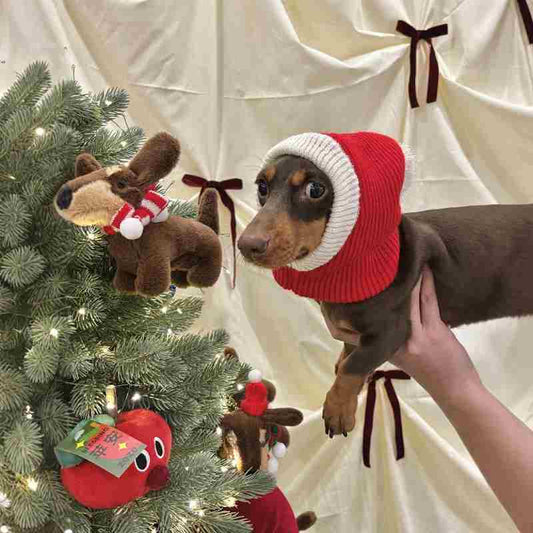 KFX-0297533 Warm Plush Dachshund Hat with Scarf for Pets - Little Red Riding Hood Style