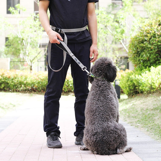 KFX-0316989 Multi-Functional Nylon Dog Leash in Light and Dark Grey