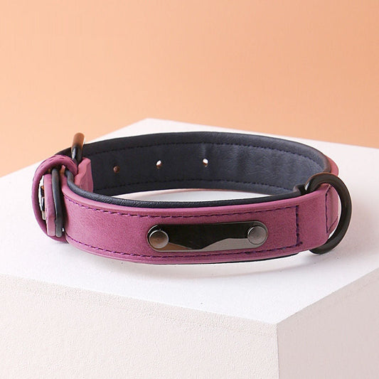 KFX-0340413 Adjustable Anti-Loss Dog Collar with Double-Layer Design in Multiple Colors