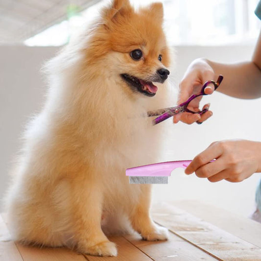 KFX-0341693 Multifunctional Pet Comb for Tear Stain Removal and Grooming - Stainless Steel, Ergonomic Design for Small Dogs and Cats