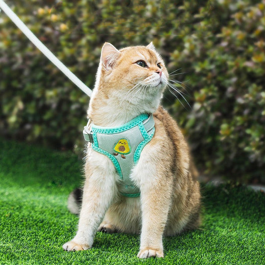 KFX-0378429 Cat Traction Rope in Green Avocado, Yellow Bear, and Pink Astronaut Styles, Available in Size S and M