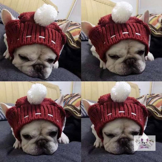 KFX-0394813 Casual Acrylic Dog Hat for All Seasons - One Size Fits Most