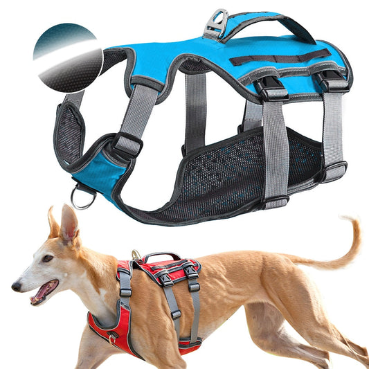 KFX-0414781 Water-Repellent Polyester Thoracolumbar Support Band for Dogs