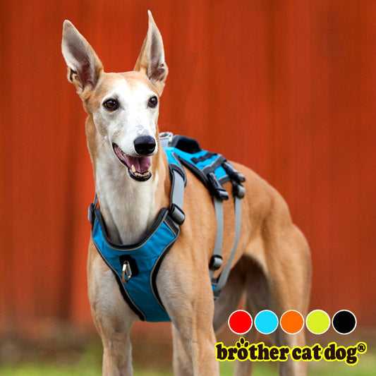 KFX-0414781 Water-Repellent Polyester Thoracolumbar Support Band for Dogs