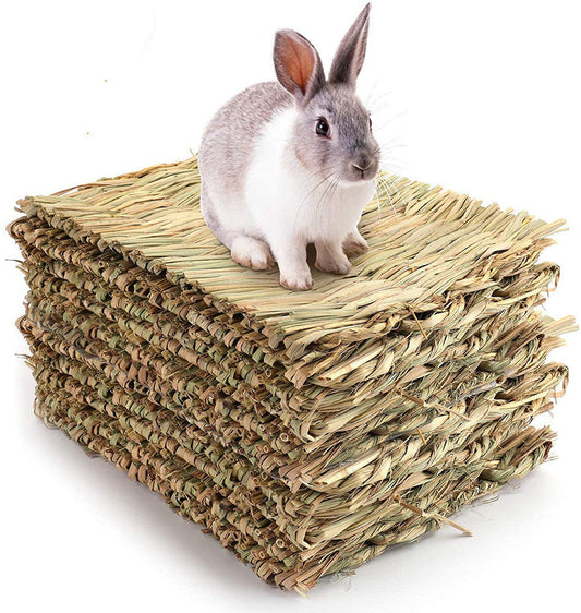 KFX-0442557 Durable 3-Pack Wooden Rabbit & Small Animal Mat Toy Bed for Guinea Pigs and Chinchillas
