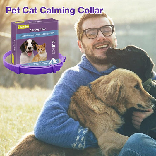 KFX-0450237 Adjustable Stress Relief Dog and Cat Comfort Collar, 62cm and 38cm Options