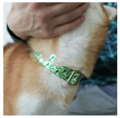 KFX-0477245 Flower Pattern Nylon Ribbon Pet Collar for All Seasons - Multiple Sizes Available