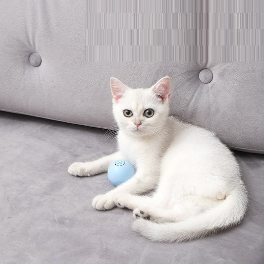 KFX-0488381 Self-Hi Music Ball Toy for Cats - Interactive Sound and Bites in Blue, Pink, and Green