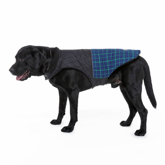 KFX-0517949 Reflective Pet Harness Jacket for Dogs and Cats - Breathable Mesh Material, Adjustable Fit in Multiple Sizes