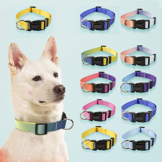 KFX-0561853 Nylon Pet Collar and Traction Rope Set in Vibrant Gradient Colors