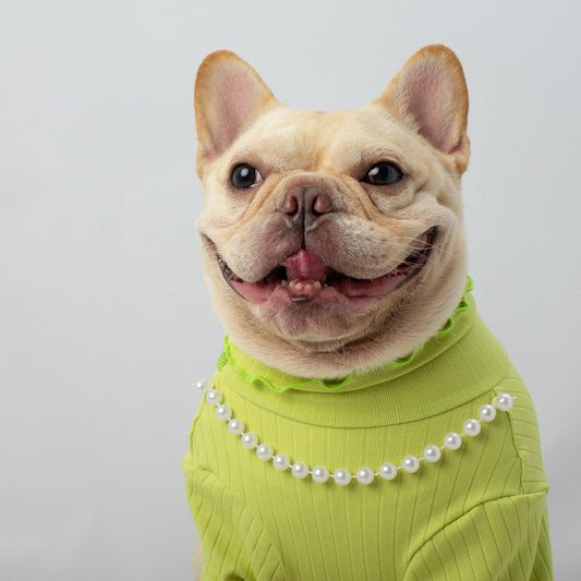 KFX-0562621 Solid Color High Collar Pet Shirt - Elastic Fabric in Orange and Fluorescent Green, Sizes S-XXL