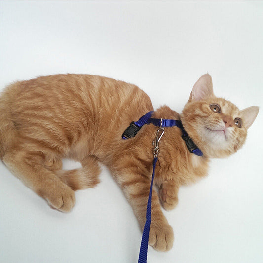 KFX-0567101 Adjustable Cat Chest Sling with 1.2m Nylon Leash for Secure Outdoor Exploration