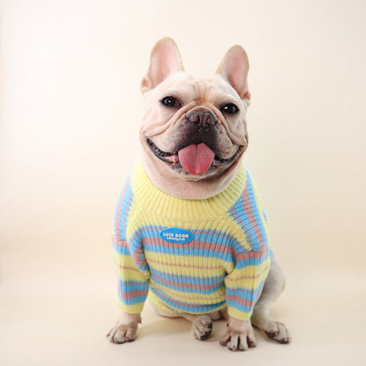 KFX-0571581 Cozy Blue and Yellow Striped Sweater for Small Dogs - XS to XXL