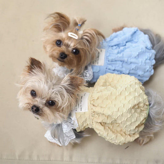 KFX-0625981 Contrast Color Suspender Skirt for Pets - Blue and Yellow, Polyester Material, Multiple Sizes Available