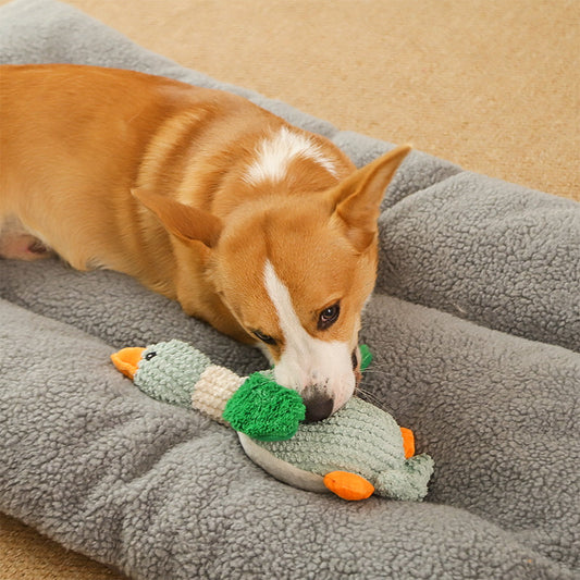 KFX-0665789 Sound Plush Toy for Dogs - Stress Relief and Bite Resistant, Available in Green, Brown, and Gray Geese