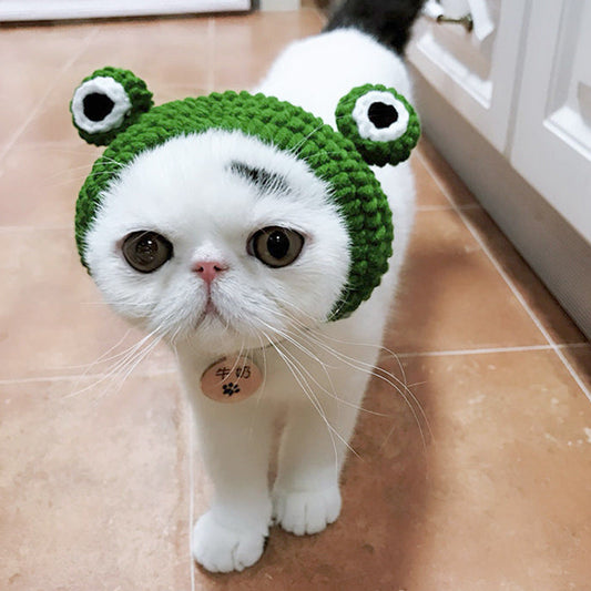 KFX-0682429 Frog Woolen Hat for Kittens and Puppies - Cartoon Cross-Dressing Headgear