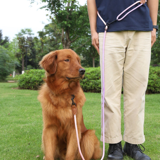KFX-0687165 Multi-Purpose Reflective Nylon Pet Walking Rope for Dogs and Cats
