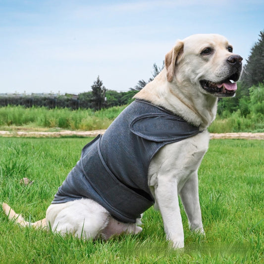 KFX-0704317 Pet Soothing Tank Top for Dogs – Relief for Separation Anxiety, Available in Multiple Colors and Sizes