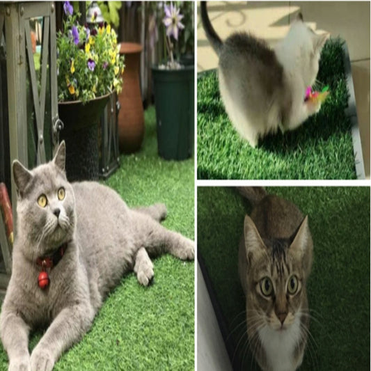 KFX-0733501 Non-Slip Green Simulated Lawn Pet Pee Pad for Indoor Use