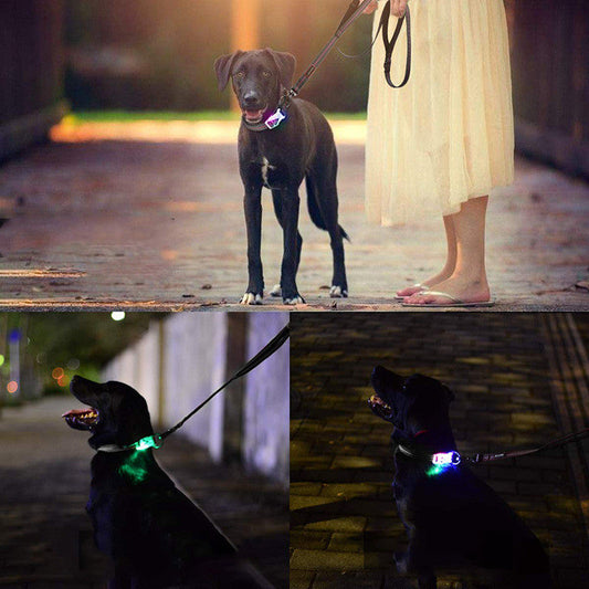 KFX-0739389 Luminous Nylon Reflective Pet Collar Leash with Multi-Flash Modes