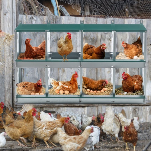 KFX-0744765 8 Compartment Wall-Mounted Chicken Nesting Box for Egg Laying, Metal Construction with Vented Holes